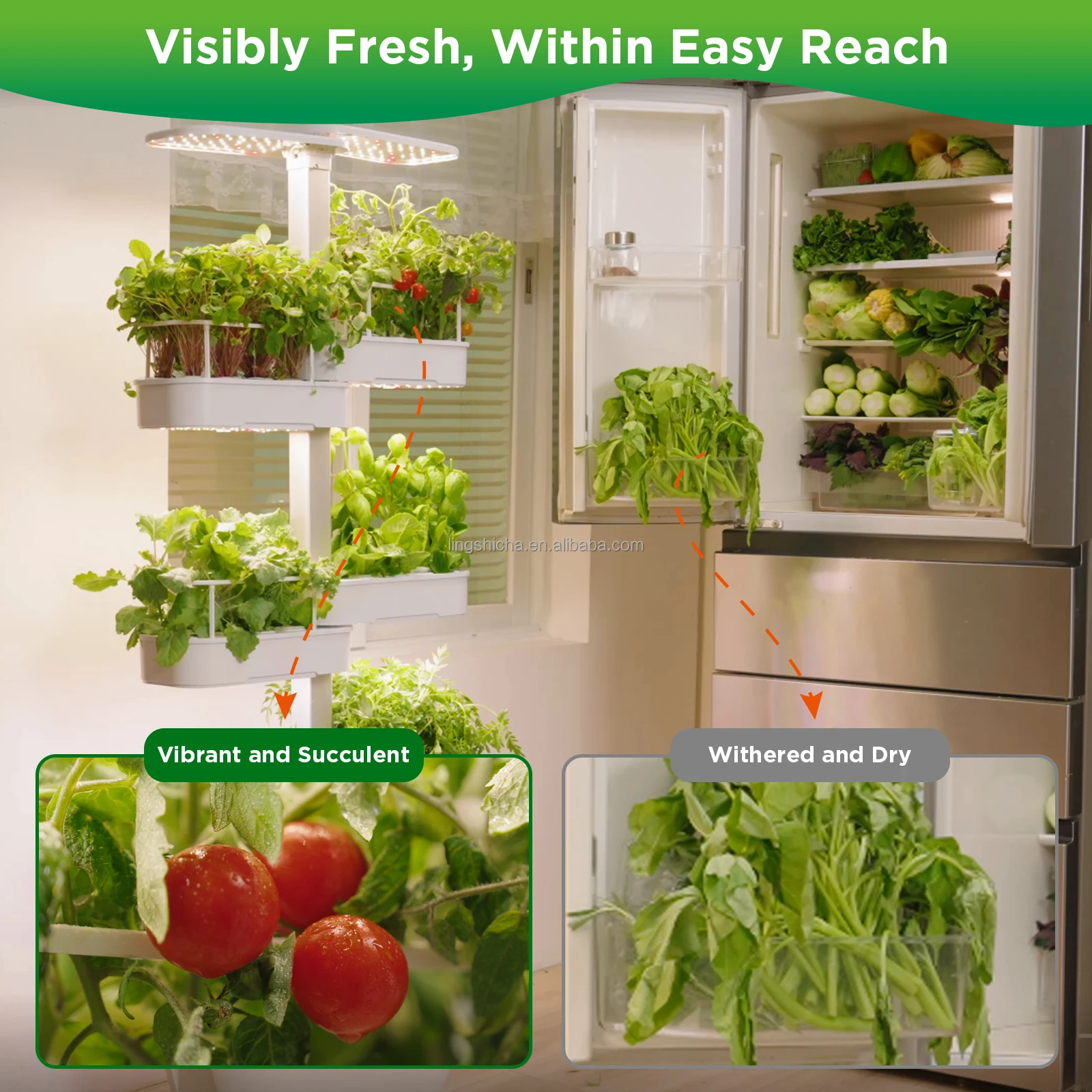 IGS-83 INDOOR HYDROPONIC GROWI - огляд і ціна Smart Garden Vertical