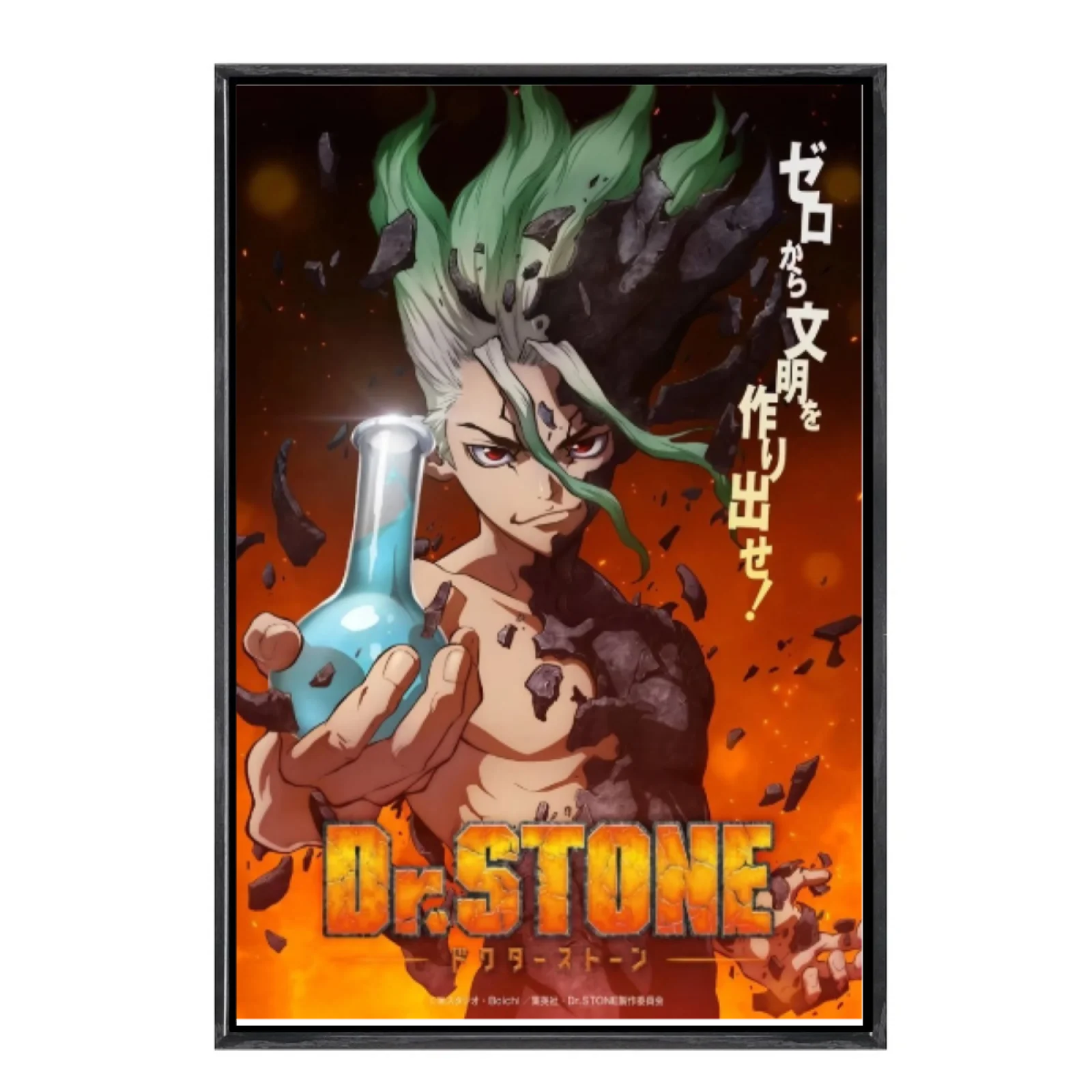 

Japanese Manga Multi-Size Canvas Poster Double Framed Wall Art,Dr Stone Home Decor for Living Room Bedroom
