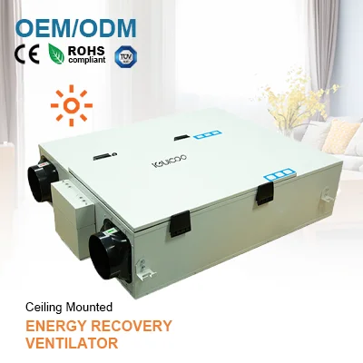 

Высокоэффективный потолочный вентилятор IGUICOO RFHC-025(A1-1D2) с рекуперацией тепла ERV, лопастями из нержавеющей стали, OEM/ODM, с возможностью индивидуальной настройки