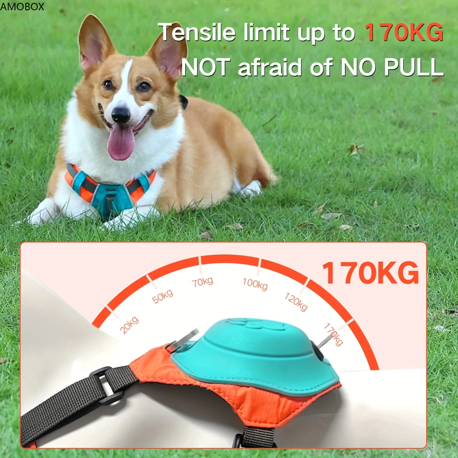 AMOBOX-Dog Harness and Leash Set,Dog Chest and Back,Automatic Telescopic Traction Rope,Explosion-proof Chest Strap, Walking Rope