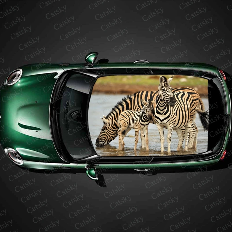 

Walking Zebra Print Car Roof Sticker Wrap Racing SUV Auto Accessories Packaging Painted PVC Car Hood Graphic Decal Decoration