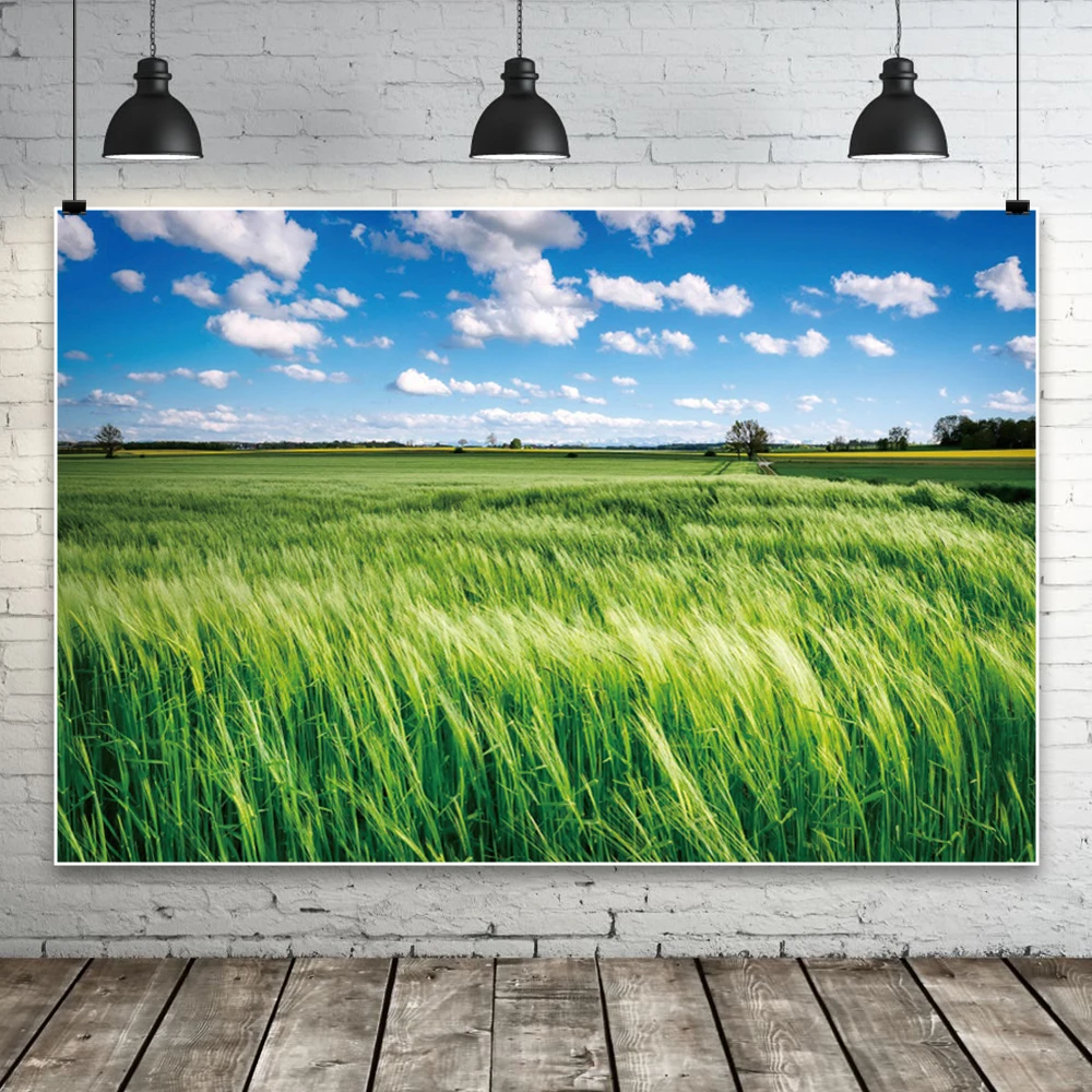 Frühling Fotografie Hintergrund Bäume Rasen Blumen und Wolken Hintergrund Tuch natürliche Landschaft Photobooth Home Geburtstag Dekorationen