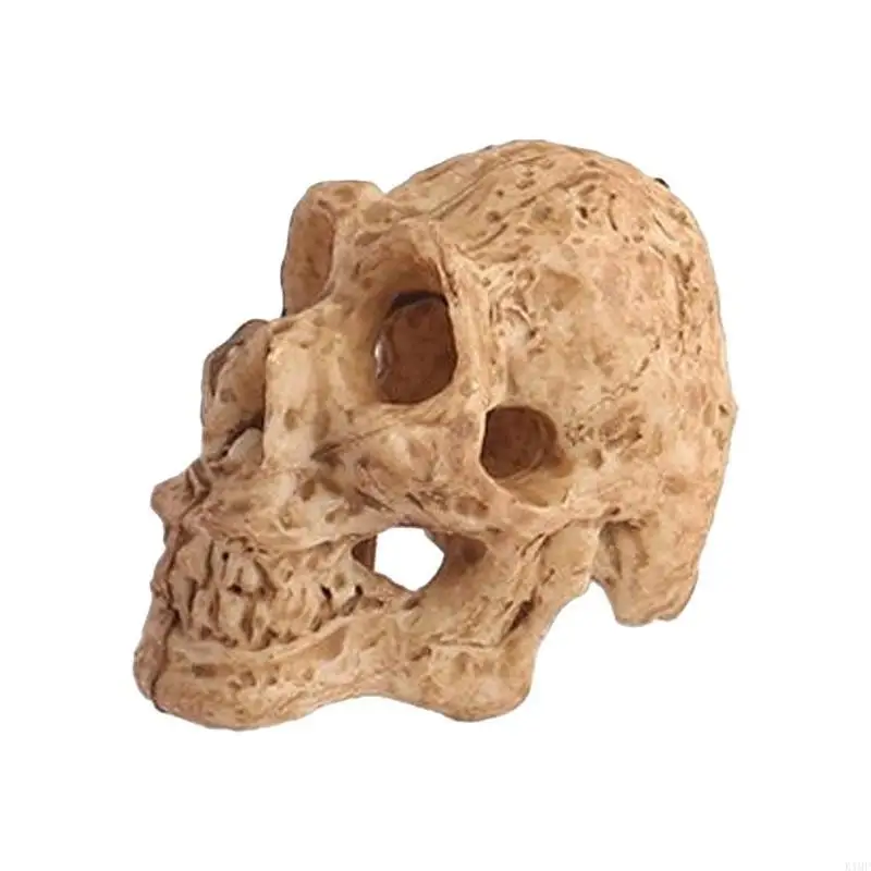 Tanque peixes aquário diy