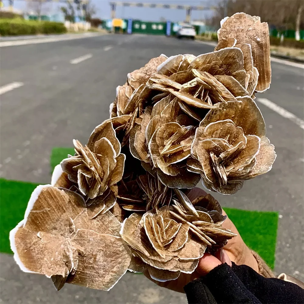 

Natural African selenite desert rose crystal cluster mineral healing, energy gemstone, room and office decoration, gift