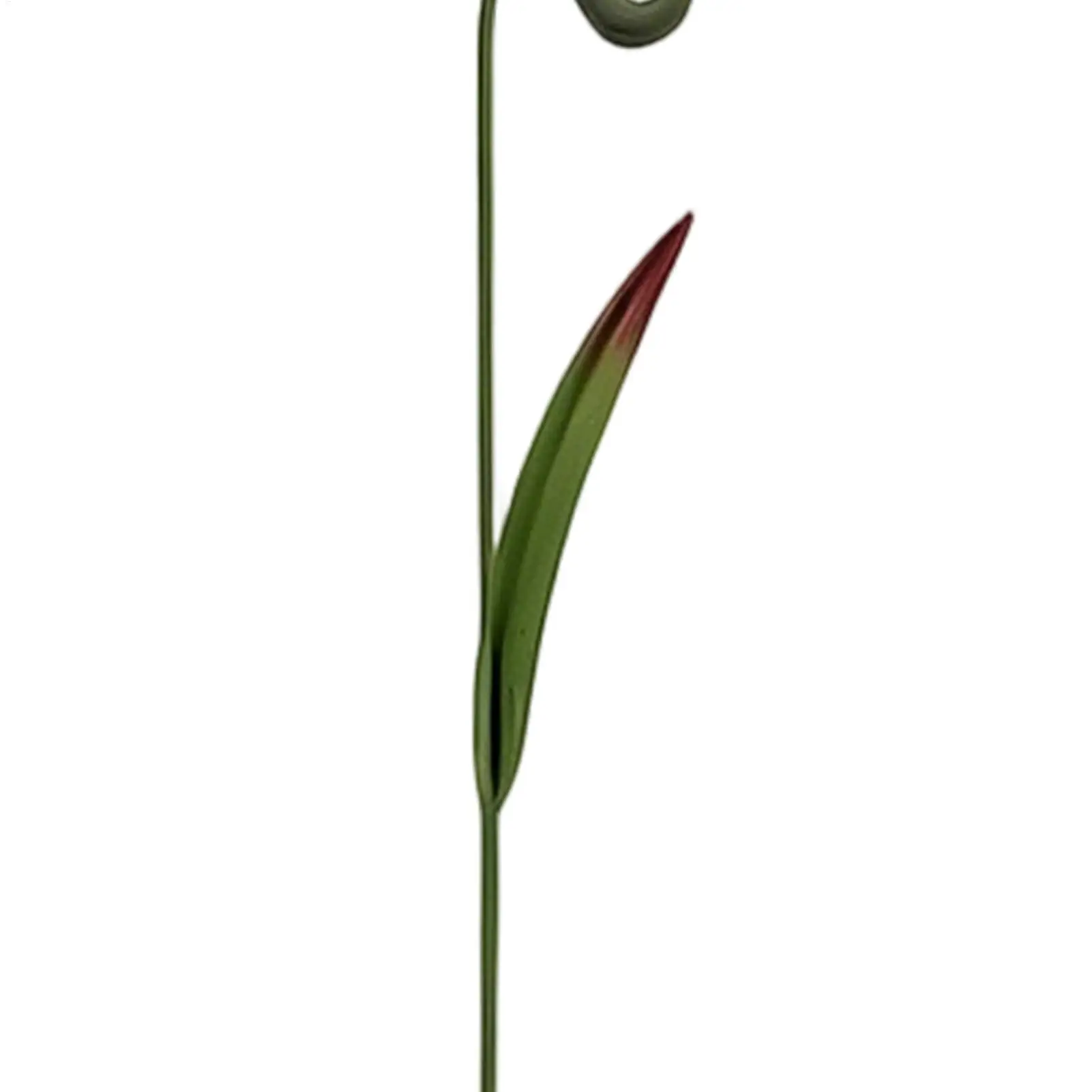

Metal Flower Garden Stakes Whimsical Nepenthes Decorative Funny Garden Sculpture For Lawn Backyard Patio Landscape Walkway Porch