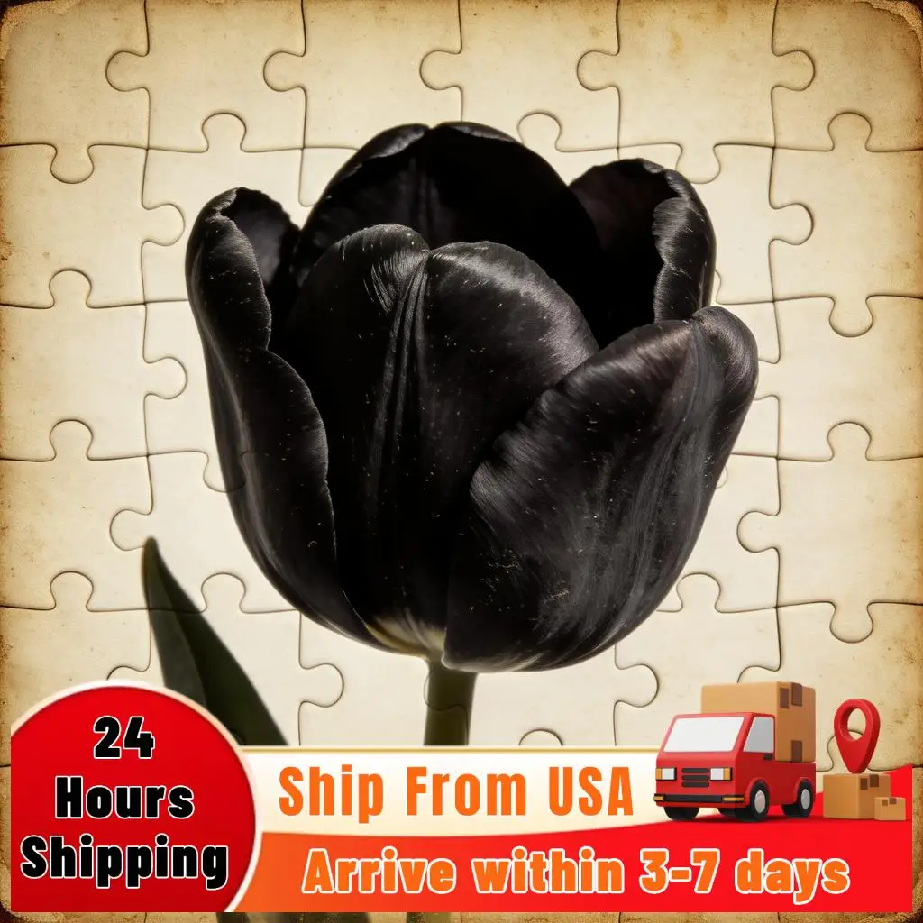 

RV Skirting for Winter Easy Installation Mobile Home Skirting Panels 3.1x65.6ft with Bottom Iron Mesh for All Weather