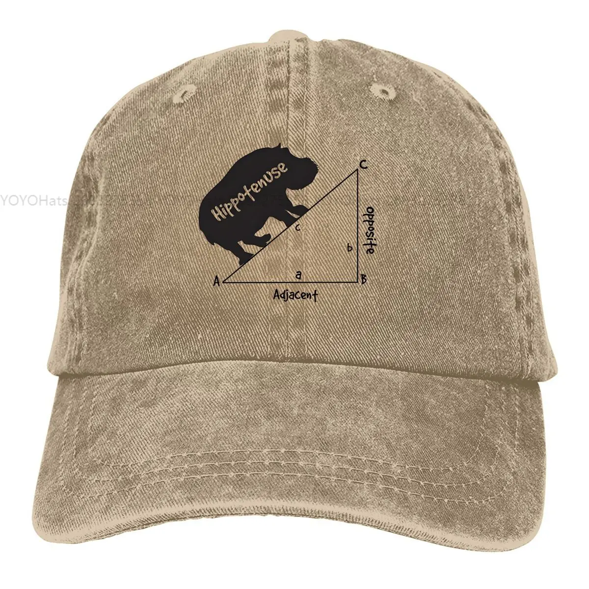 Hippotenuse Triangle Baseball Cap Men Hats Women Visor Protection Snapback Hippo Caps