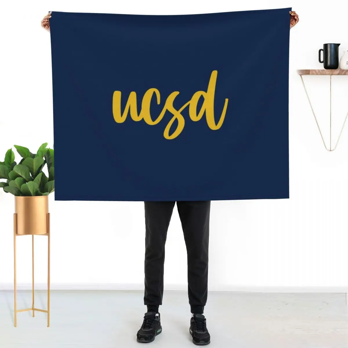 Cursive Go Tritons! Throw Blanket Bed covers Soft Plaid Sofa Throw Decoratives Designers Polar Blankets