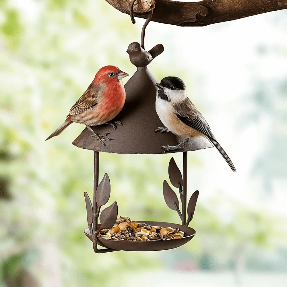 

Garden Decor Iron Bird Feeder Windproof Hanging Style Bird Food Dispenser Rainproof Multi-purpose Bird Feeding Dish Parrot