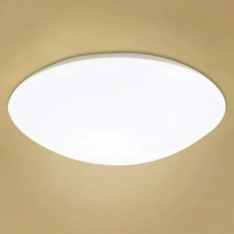 Mount Flush Panel Round Lamp LED Simple Ceiling Light Fixture Cold White Living Room Balcony Bathroom Hall Surface Lighting