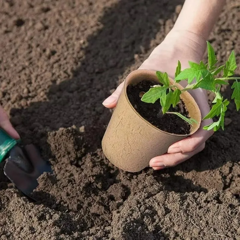 10/30Pack Biodegradable Seed Starter Pots Natural Pulp Peat Free Seedling Cups Breathable Plant Nursery Containers for Vegetable