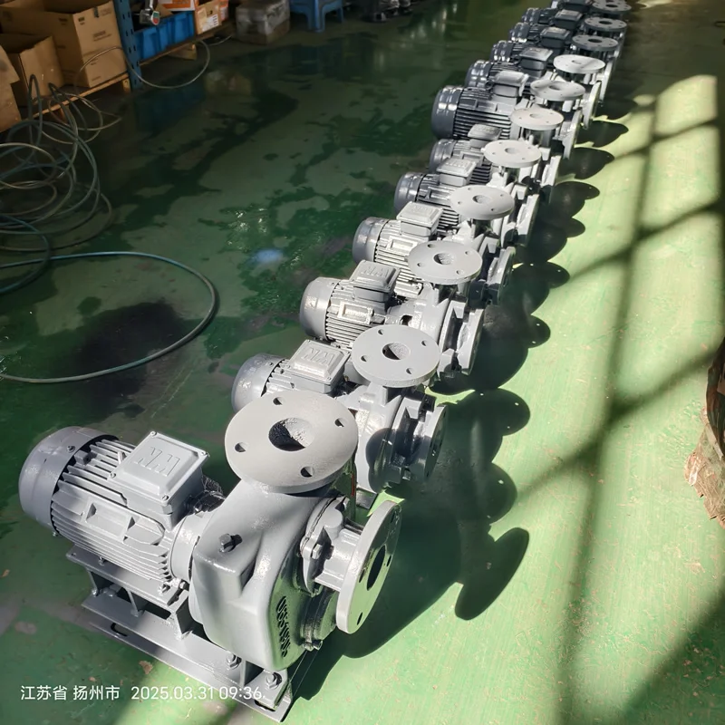 Bomba centrífuga autoescorvante Fabricante de bomba de água na China Bomba autoescorvante de irrigação agrícola