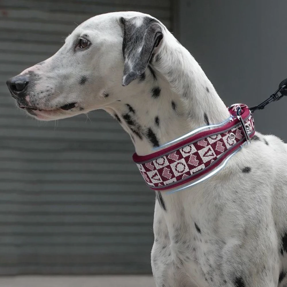 Collar para Perro Grande Estilo Vintage, Collares Anchos para Perros Medianos y Grandes, Greyhound ‌ Accesorios para mascotas: Perro irlandés de caza a la manada en movimiento