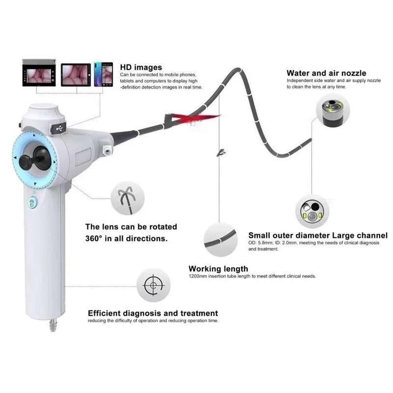 MT Medical Veterinary Endoscopy Surgical Equipment Veterinary Hospital Portable Enteroscope Bronchoscope Gastroscope