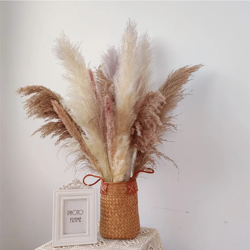 

20Pcs/Set Natural Pampas Grass Decor Long Branch Fluffy Real Dried Flowers Bouquet Artificial Flowers Home Decor Floor Ornaments