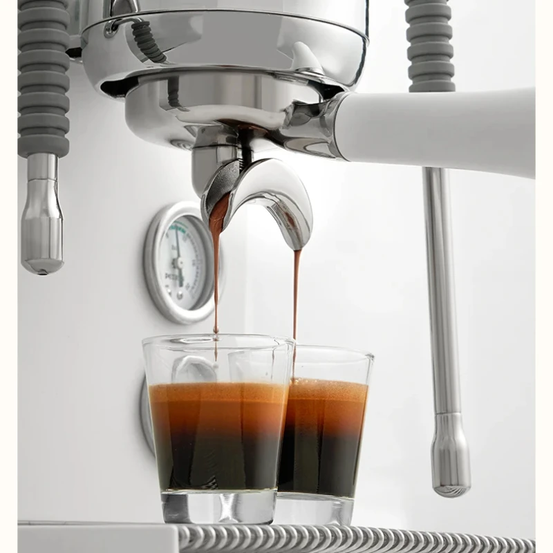Petrus PE3900 Macchina per caffè espresso completamente semiautomatica Macchina per caffè espresso commerciale per uso domestico con macchina per caffè ad estrazione