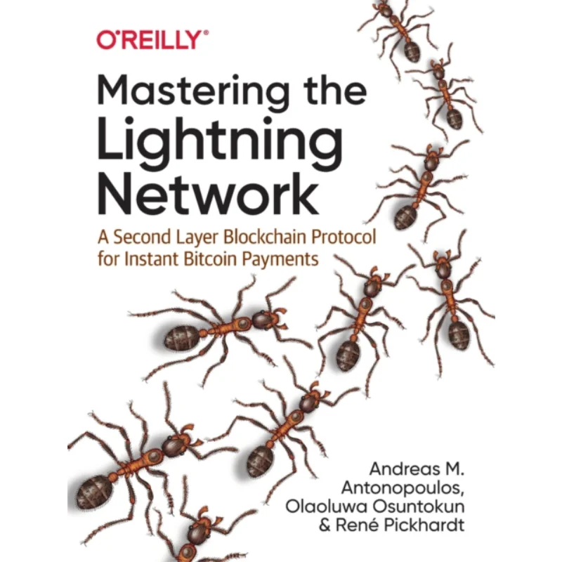 Mastering The Lightning 100work A Second Layer Blockchain Protocol For Instant Bitcoin Payments 9781492054863
