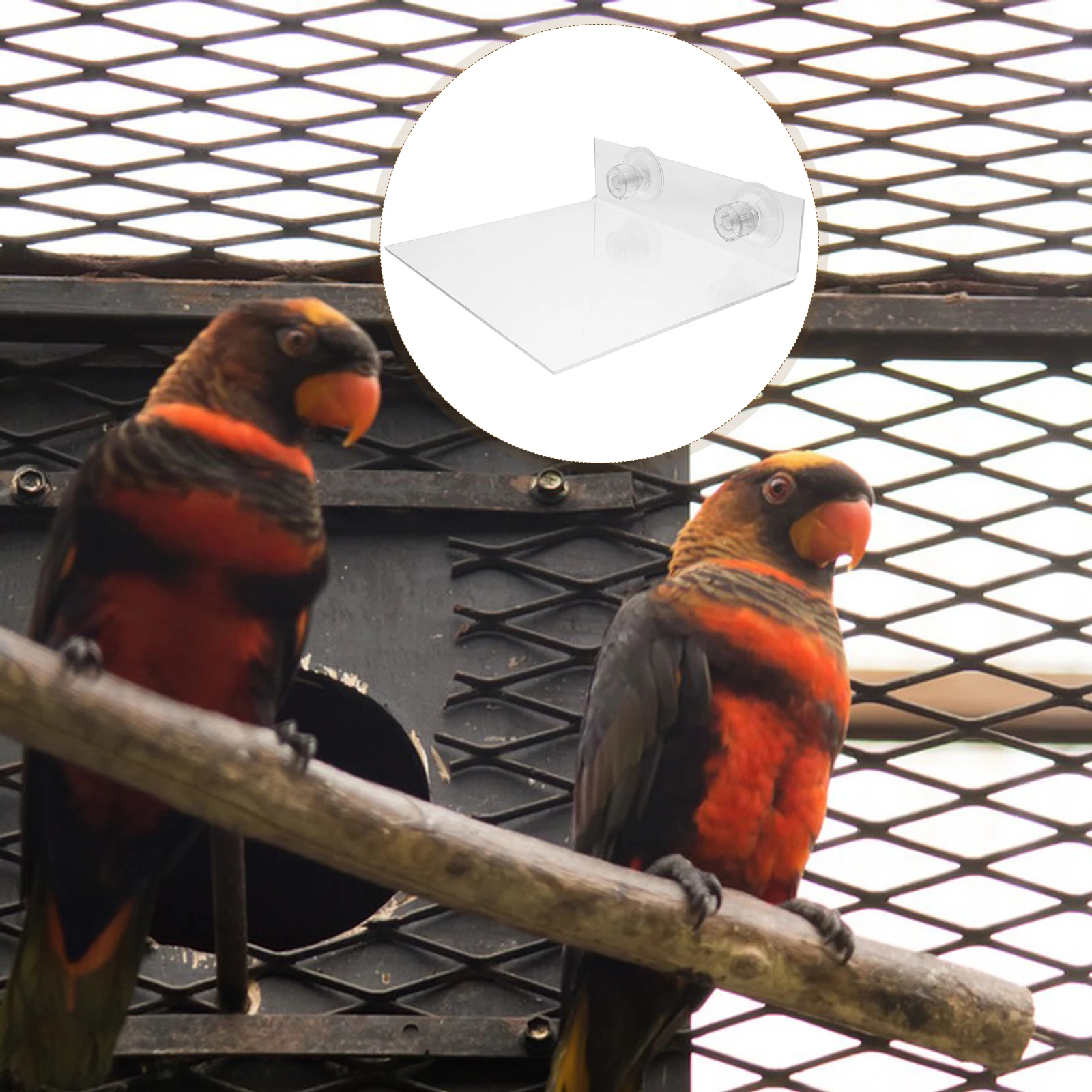 

Parrot Perch Platform Suction Cup Bird Cage Stand For Small Birds Bath Shower Window Cockatiel Parakeet Accessories