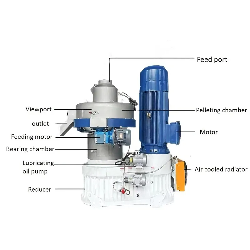 Vertical Ring Die Pellet Machine 55kW Motor High Performance Wood Animal Feed Pelletizer Gear Bearing for Productivity