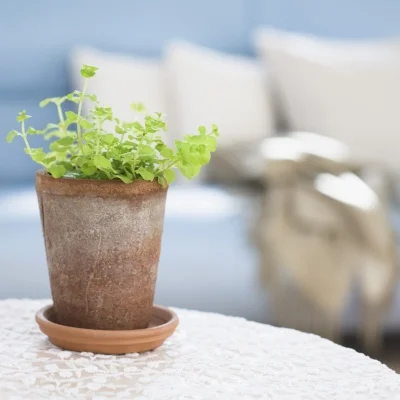 

Used For MJX 1/16 16208 16209 16210 H6V3 M163 RC Car Parts Metal Upgrade Kit