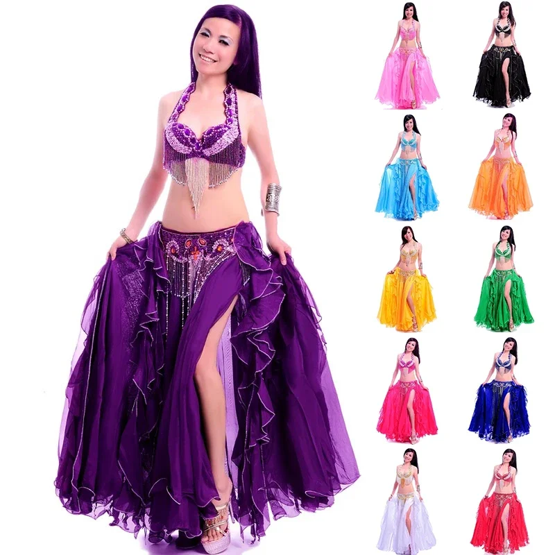 Professional adult belly dance costume set bra belt long skirt bellydancing dress woman carnival belly dancer outfit costumes