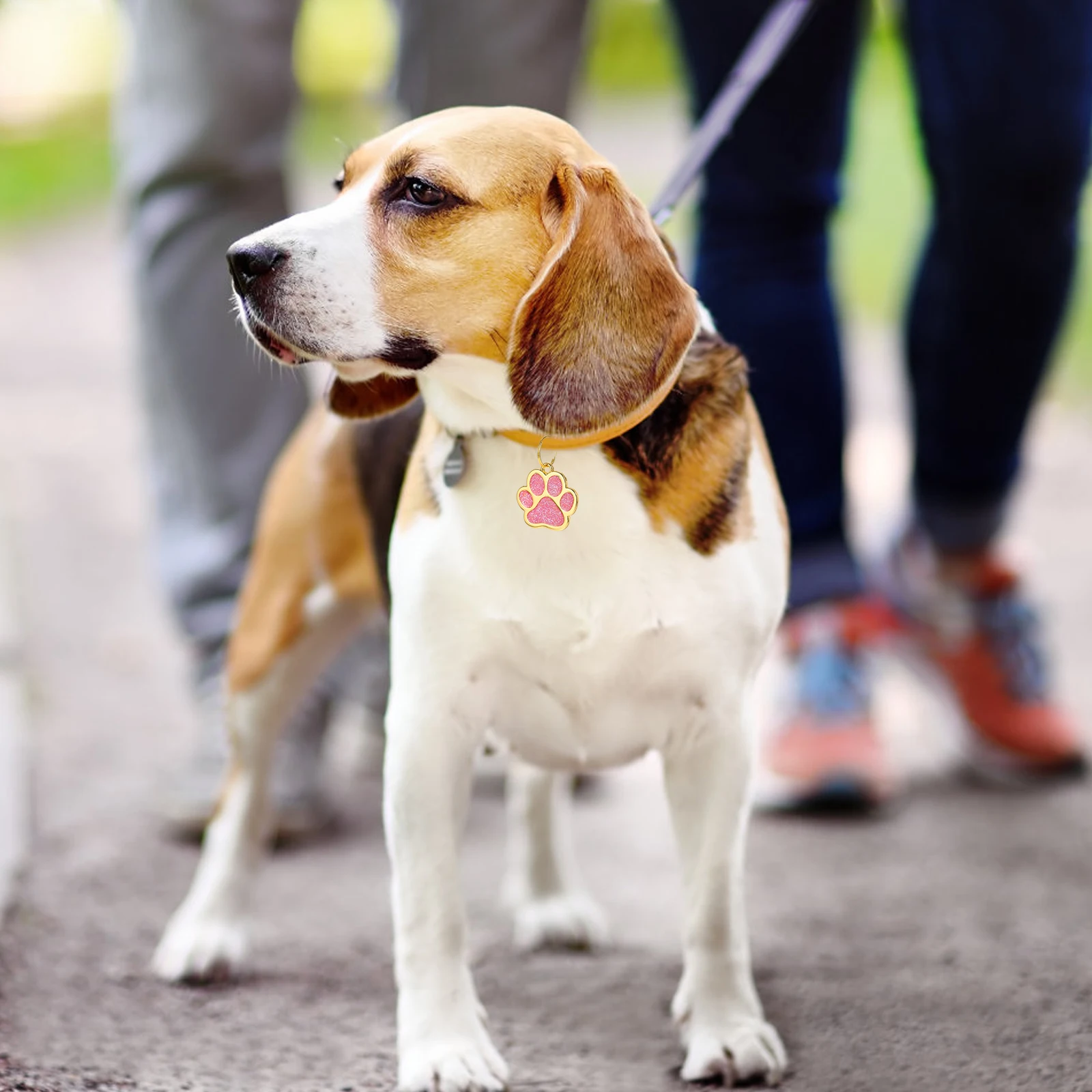 

3Pcs Metal Paw Print Dog Tag Premium Zinc Alloy Personalized Pet Id Engraved Name Number Address Hanging Zinc Alloy Pet Tag