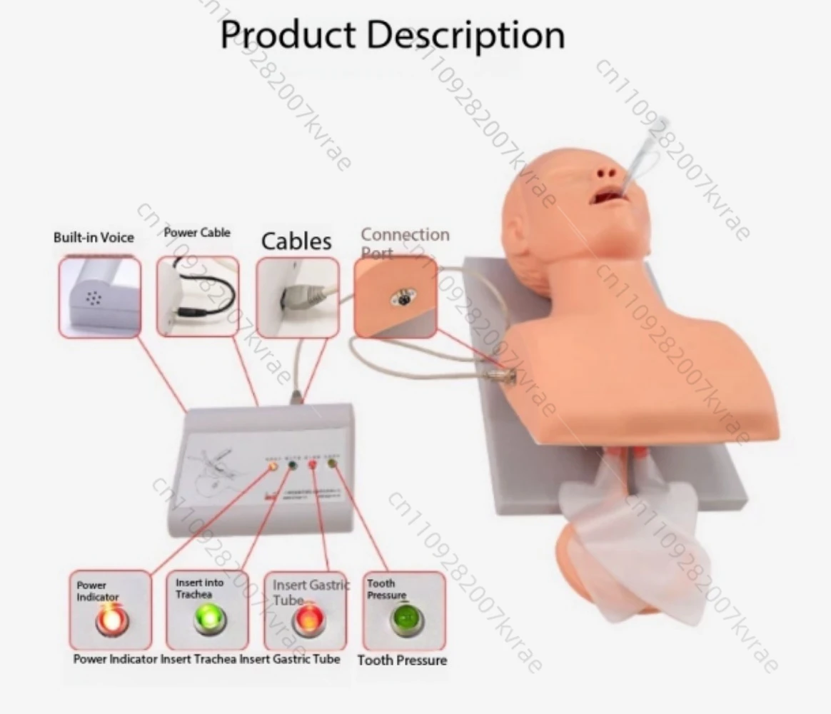 Teaching Model Human Body Electronic Endotracheal Intubation Simulation Airway With Teeth Pressure Equipment 1:1 Life Size