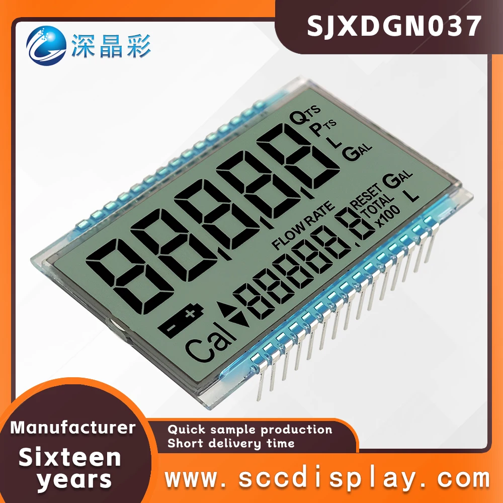 Hoge kostenprestaties op maat gemaakt segmentcodetype statisch LCD-scherm SJXDGN037 FSTN digitaal display met laag energieverbruik