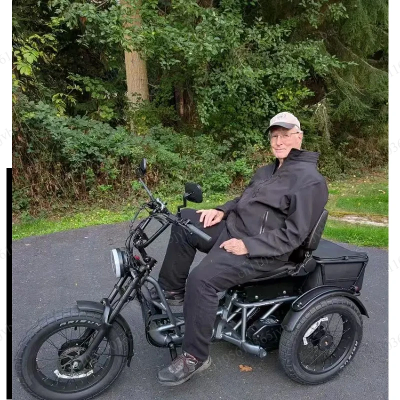 

Aluminum Alloy Frame Three-wheeled Electric Vehicle with Strong Load Capacity