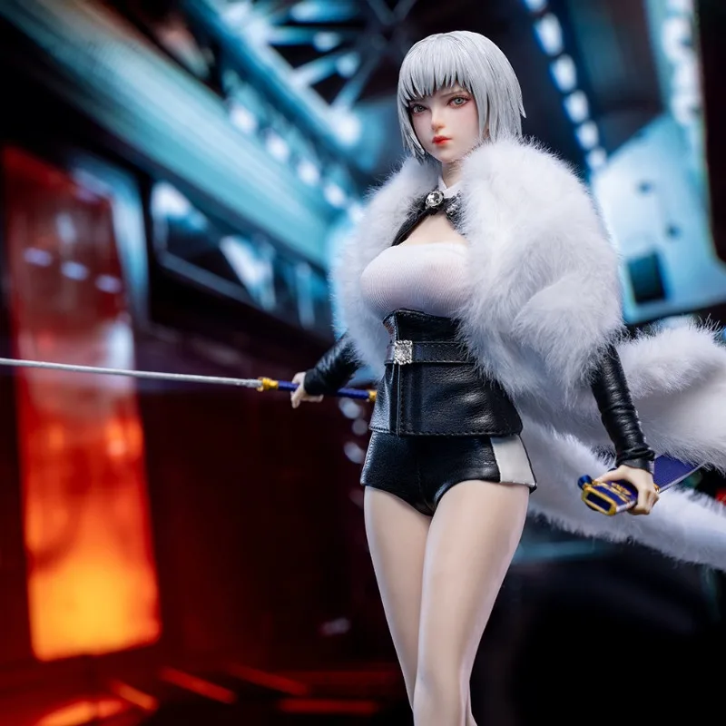 

In Stock SWtoys 1/6 Scale FS070 Action Figures Movable Joint Model for Desktop Collection Ornaments