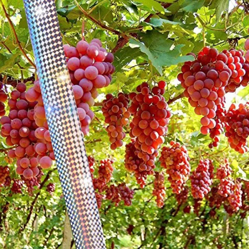 80/50 متر الطيور تخويف الشريط مكافحة الطيور الشريط على الوجهين عاكس الردع تخويف الشريط للطيور الثعلب الحمام مبيد الحشرات الشريط أشرطة