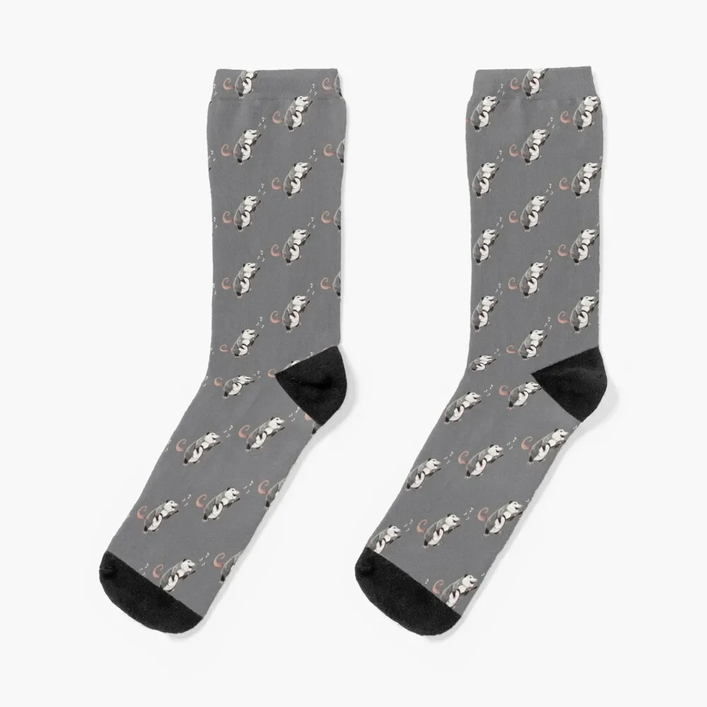 Singing banjo player opossum musician Socks funny gifts floral Socks Man Women's