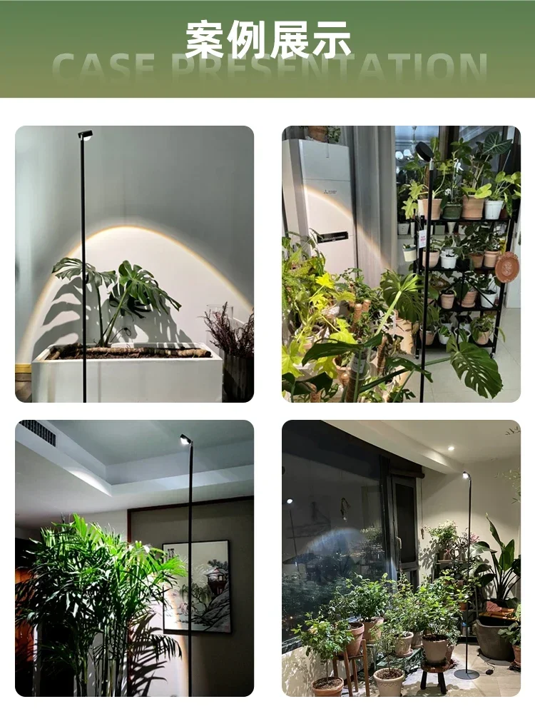 

Indoor plant light succulent filling light led full spectrum imitation sunlight household hot plant balcony green plant growth