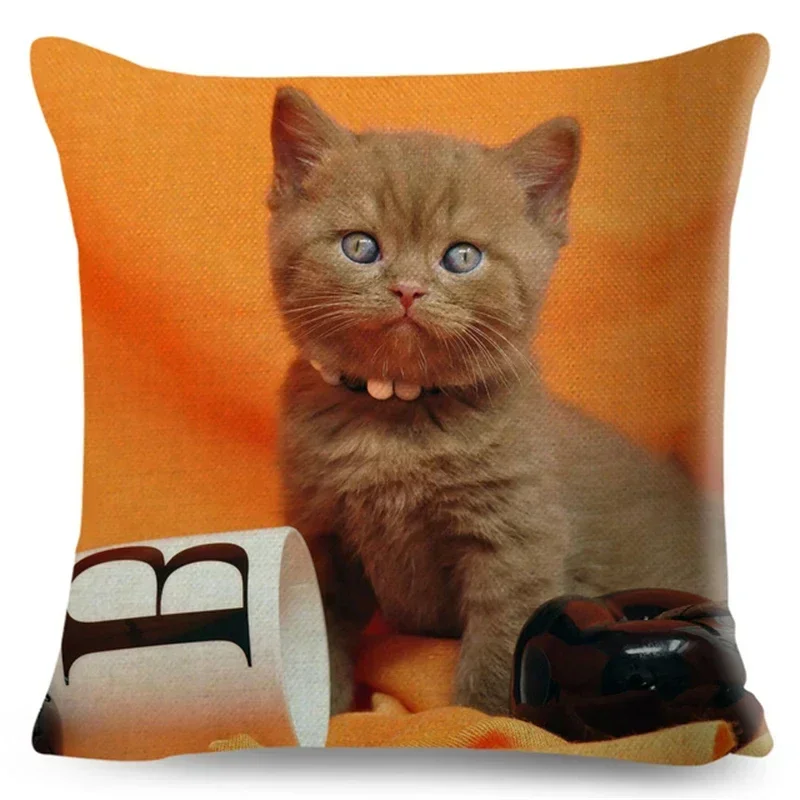 British Shorthair Russian Blue Cat Print Cushion Cover Decor Cute Cat Pet Animal Pillowcase Sofa Home Car Home Decor 45x45CM