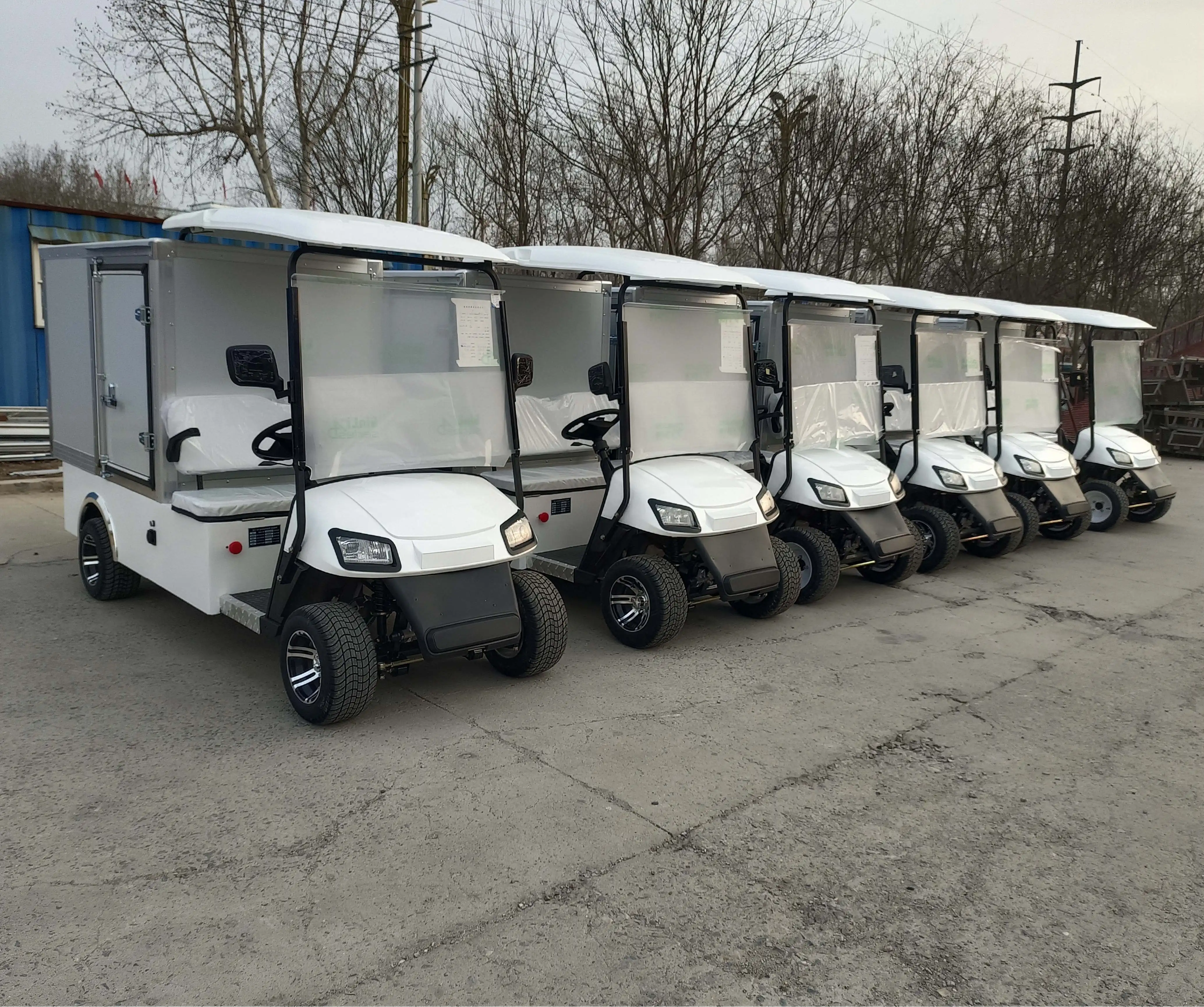 2026 New Customized Electric Golf Cart with Enclosed Storage Box, Sightseeing Car, Club Off-Road Vehicle, Hunting Car Wholesale
