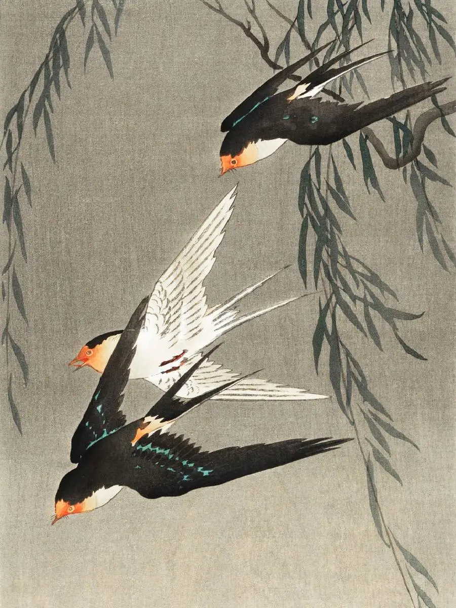 RedTailed Swallows Wall Art Print  Elegant Bird Painting Poster for Interior Design Home Decor