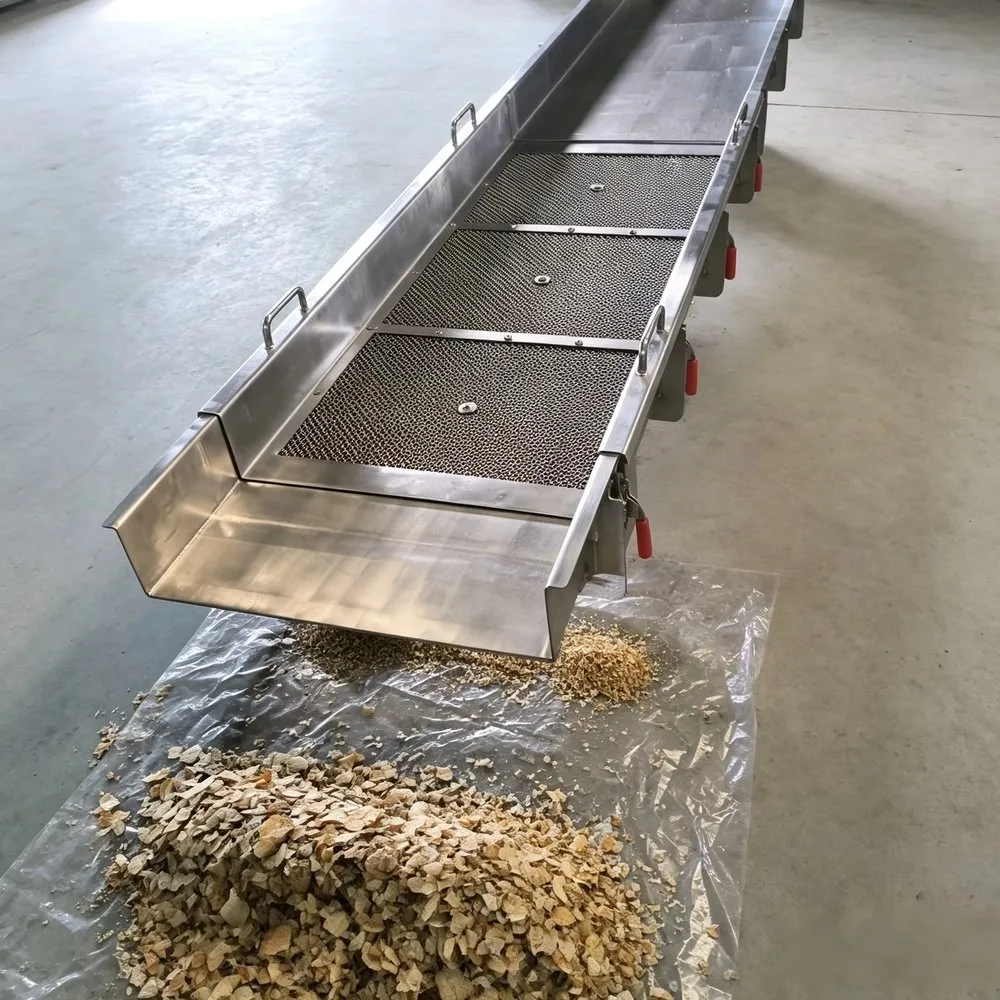 10kW Mesh Screen Feeding Machine Efficient Industrial Screening Equipment 1 Year Warranty Durable