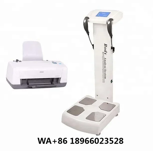 Professional Scale Body Health Analyse Advanced Full  Fat Analyzer With Printer GS6.5B Human  Composition