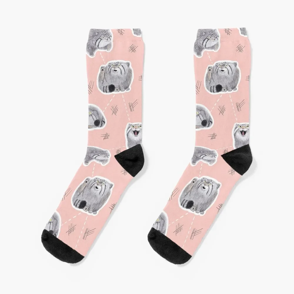 

Pudgy Pallas' Cats Socks football Crossfit Men Socks Luxury Brand Women's