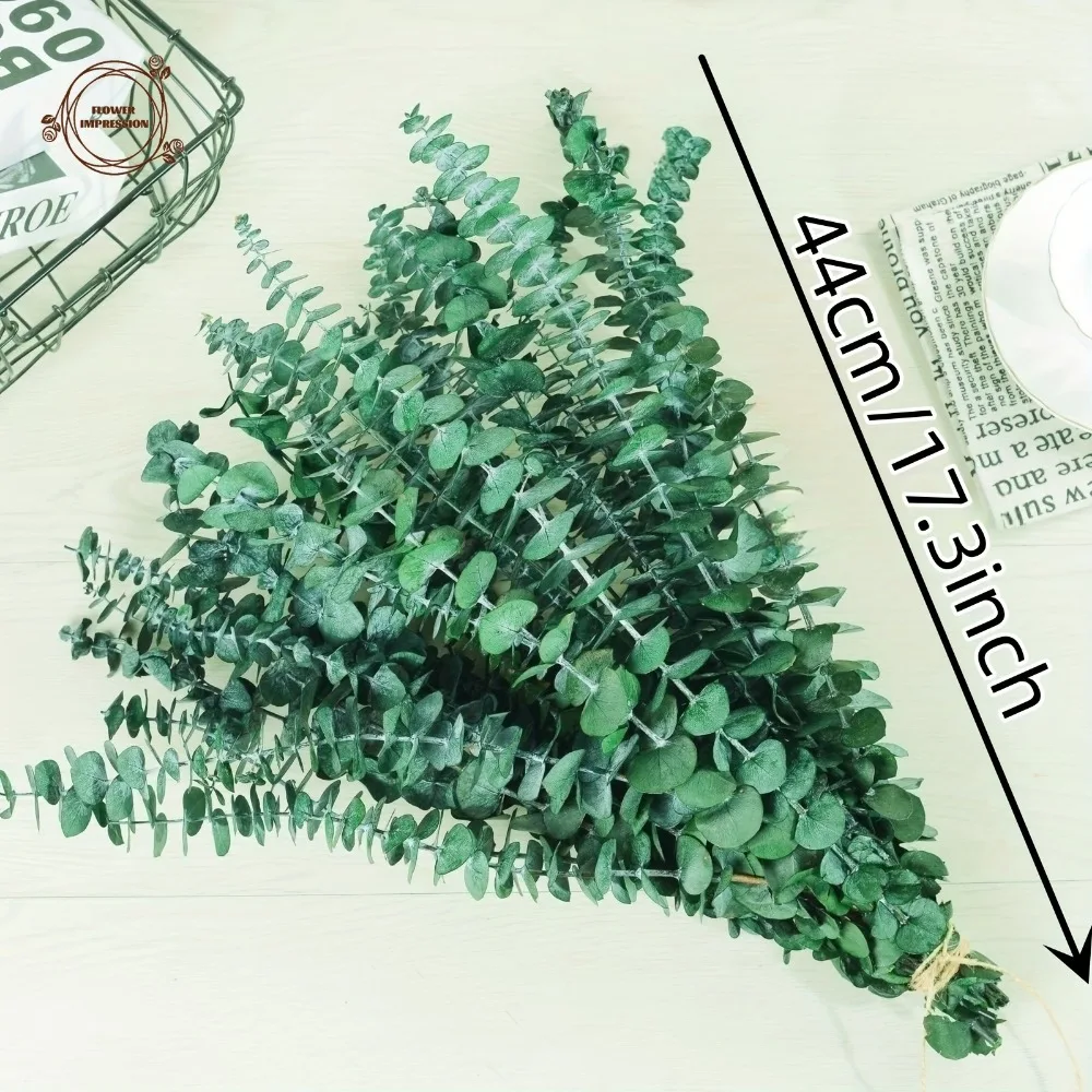 5/10/20 stücke künstlich getrocknete konservierte Eukalyptus blätter Zweige Duschen Hochzeits arrangements Eukalyptu Pflanzen Vase Wohnkultur – Detail 15