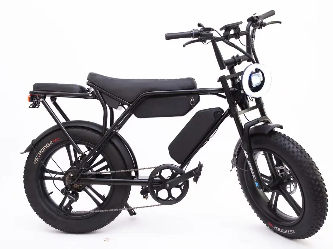 H20pro Electric Bicycle 1000W motor 48V 30AH battery Long endurance 55km/h Electric bike 20 inch tire off road riding e bike image 2