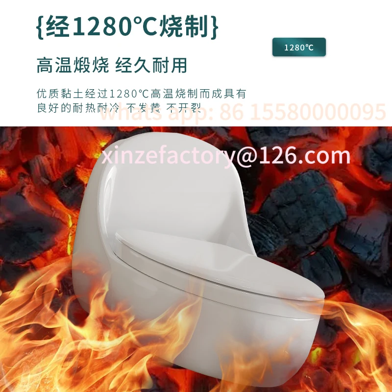 

Customizable dual-purpose toilet