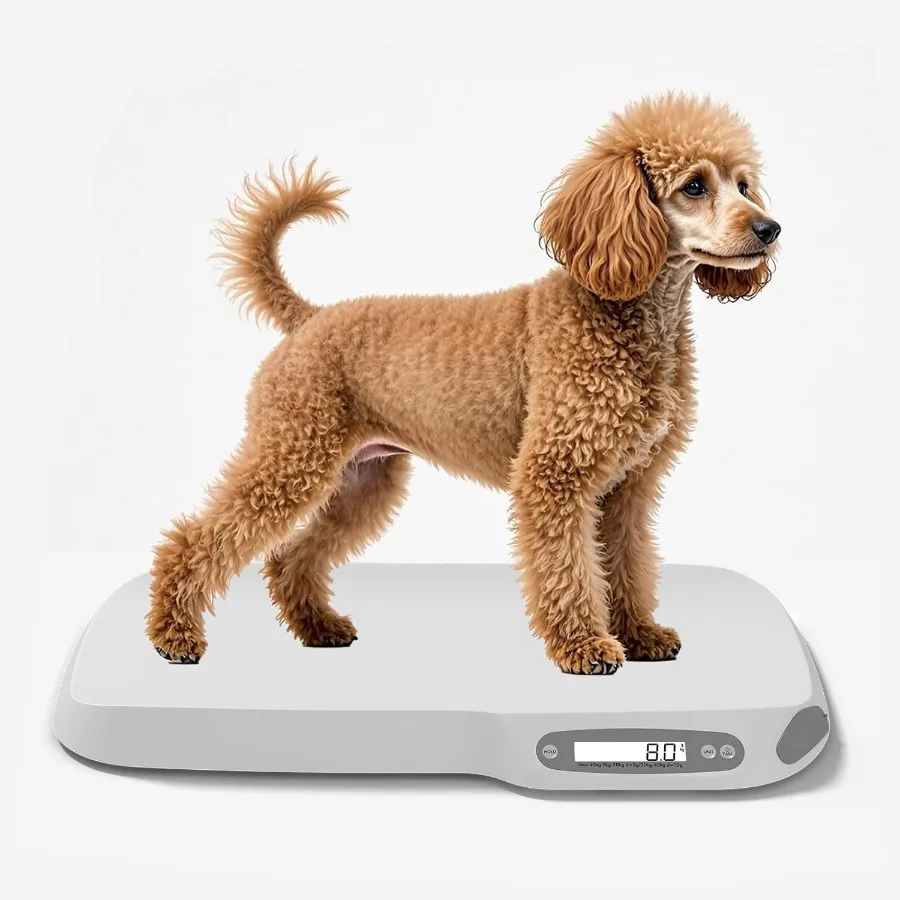 

Digital Pet Scale for Small Dogs and Cats with Precise Measurement from 40g to 88Lb Ideal for Weighing Puppies Kittens and Adul