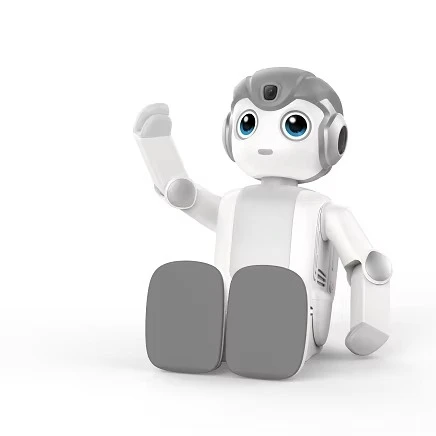 Mini Smart AI Robot Intelligent Robotics Education Talking Learning Humanoid Educational Robot for Kids Toys