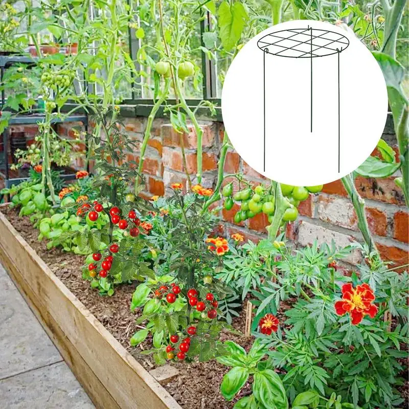 

Indoor Plant Trellis Stable 3 Pieces Plant Climbing Support Multifunctional Garden Supplies For Potted Planter Propagation
