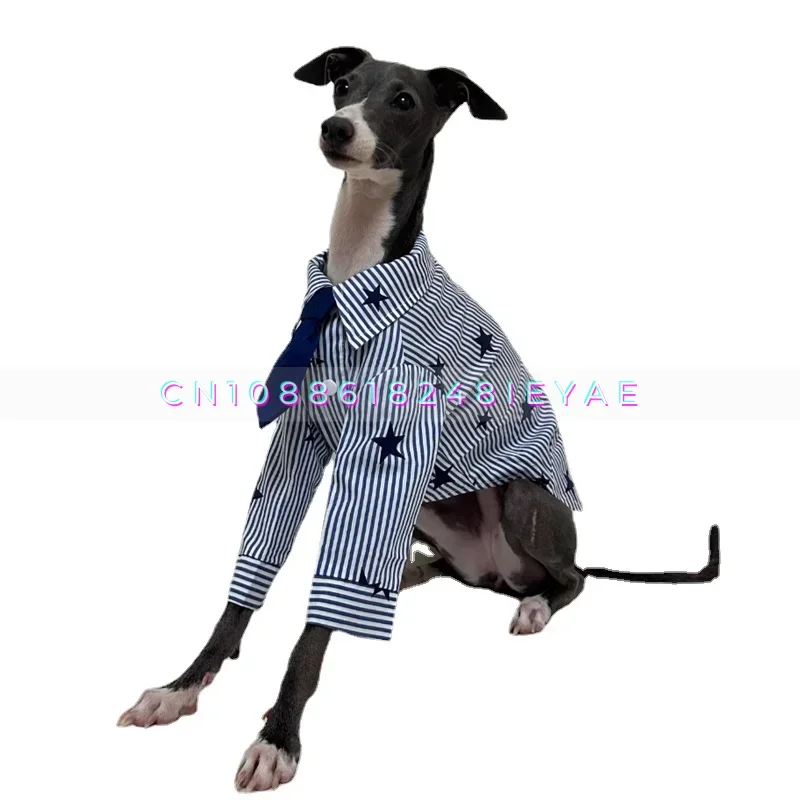 Spring and Autumn Pet Clothes Small Dog Clothes  Bellington Whibit Greyhound Clothes Dogs Accessories  Ropa De Perro