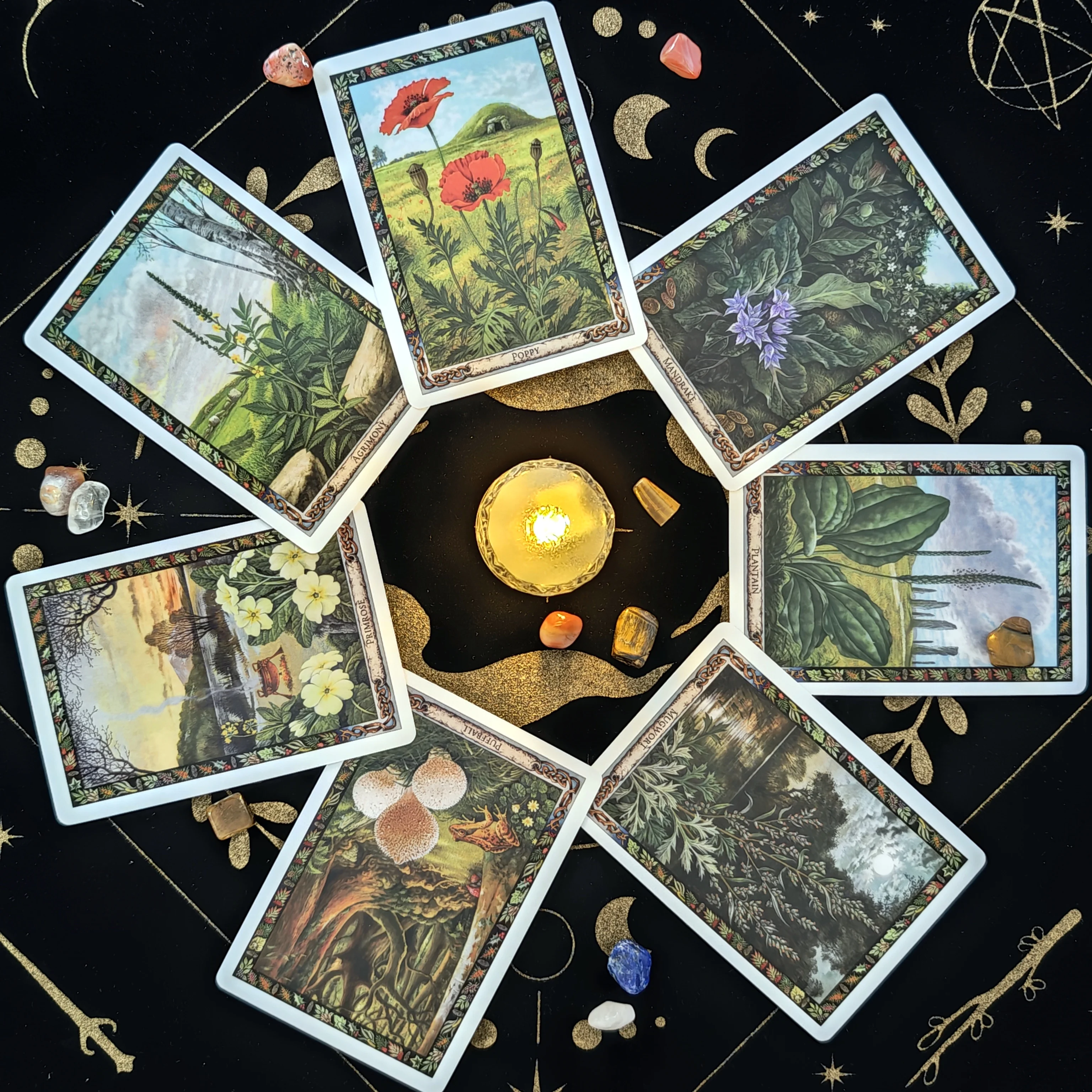 The Druid Plant Oracle 36-Kart – Board Game Research Bewertung und Preis