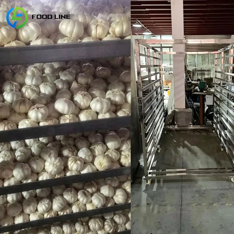 Black Garlic Fermentation Machine Commercial Fermenter Cabinet Automatic Aging Stainless Steel Customized