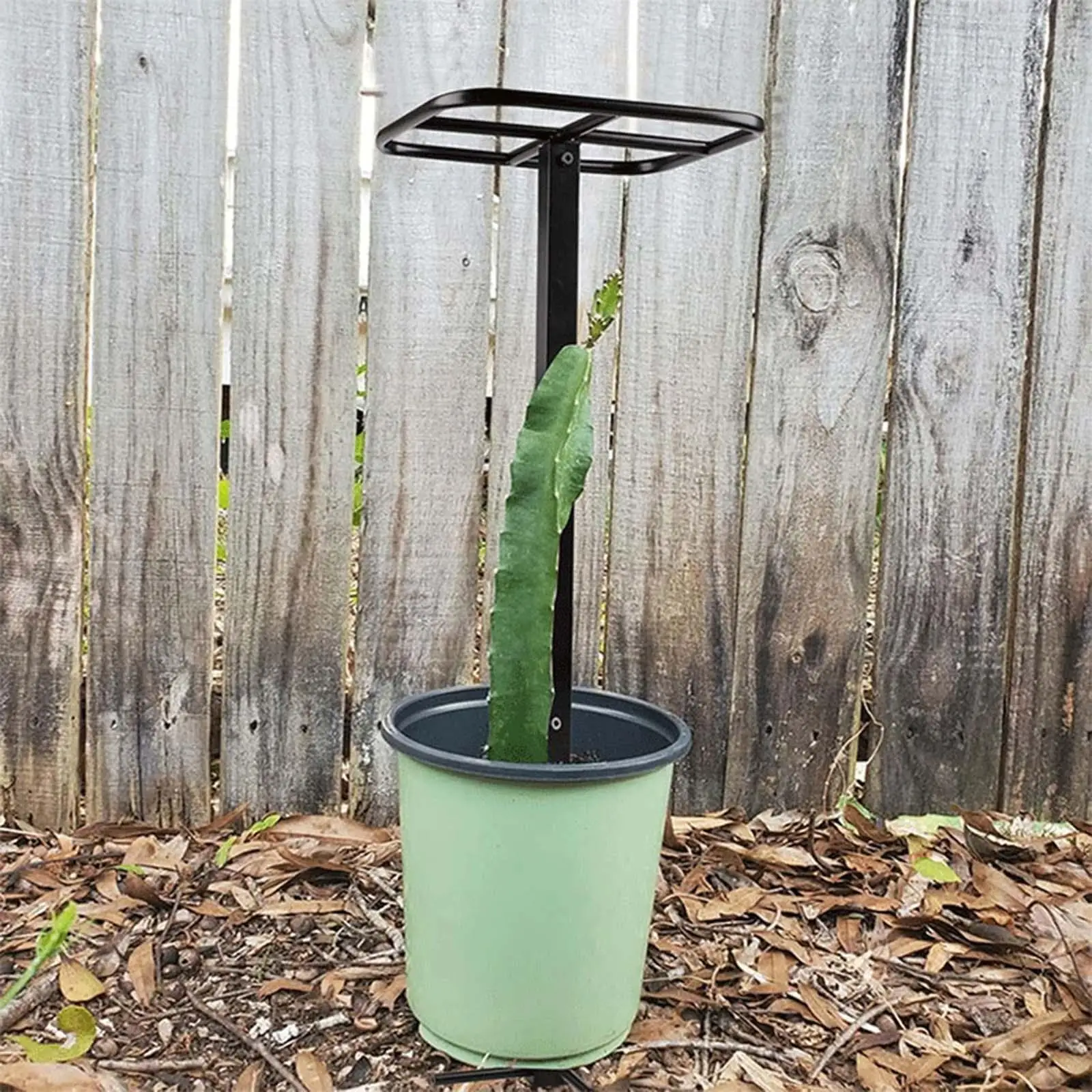 

Dragon Fruit Trellis Adjustable Height, Multipurpose Easy Assembly Potted Plant Support Plant Trellis for Yard Vegetables