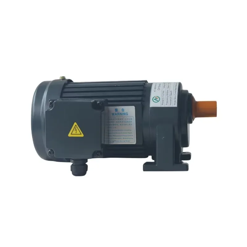 

CH 0.1KW Ac Geared Electric Motor 220v